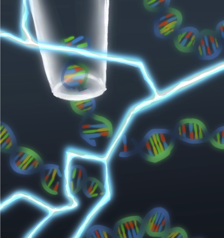 New Technique for Measuring DNA Damage Could Improve Cancer Therapy and Radiological Emergency Response