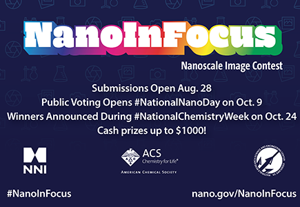 2024 NANOINFOCUS IMAGE CONTEST